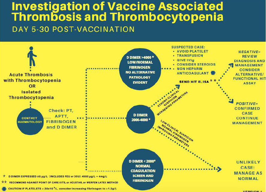 ITP vs. VITT: Rare but Distinct Conditions Associated with the COVID-19 Vaccines