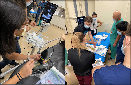 Ultrasound Guided Vascular Access Workshop: A DIY Guide for Homemade Phantoms